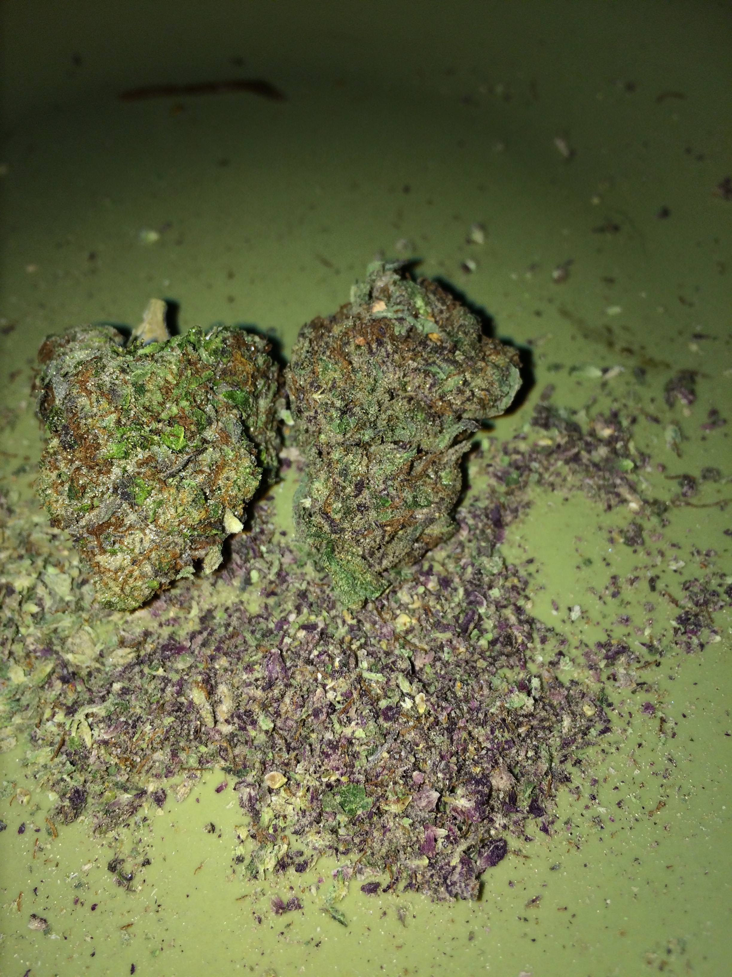 ws 420 pink kush.jpg