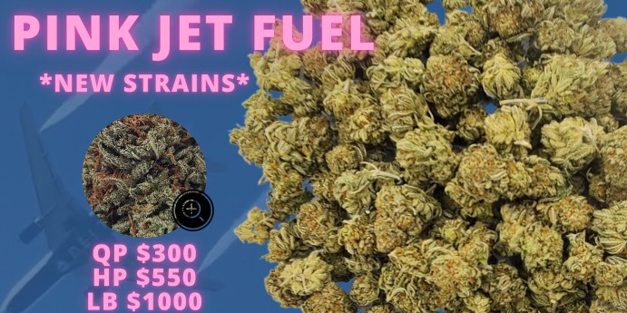 PINK JET FUEL.jpg