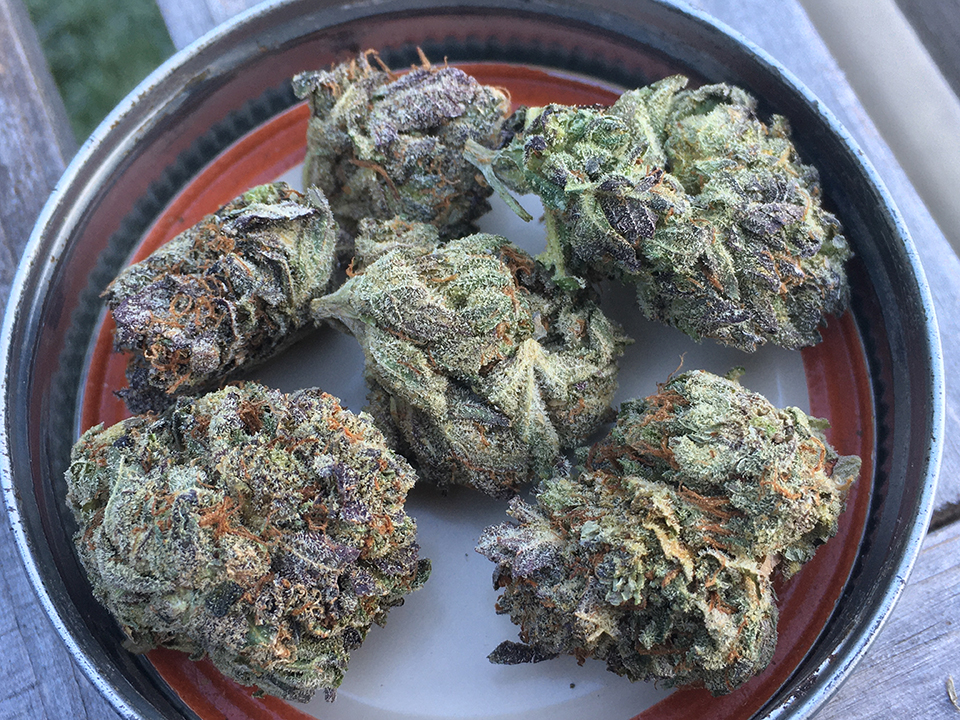 Death OG 2