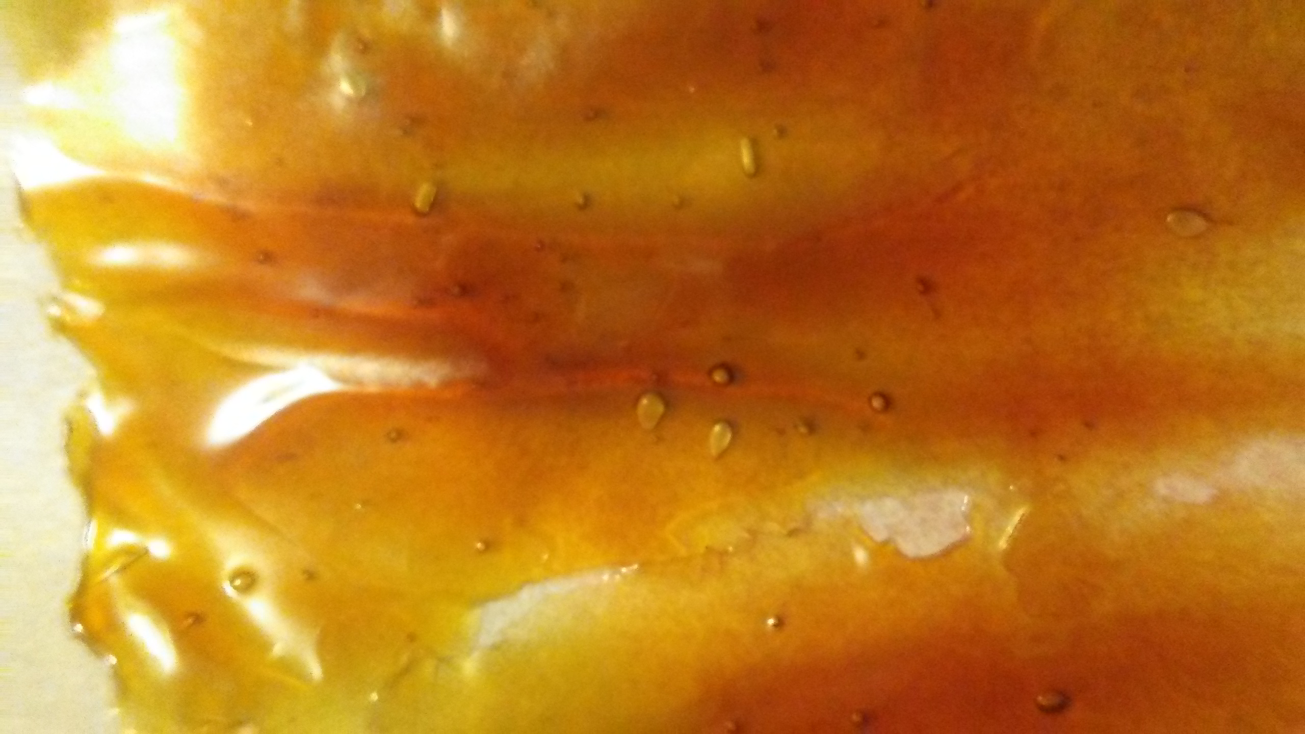 20180419_004641_HDR.jpg