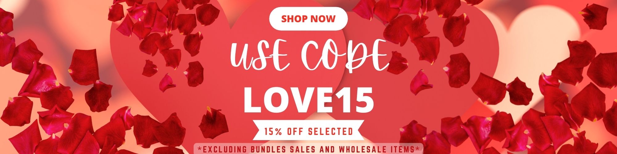 Valentines day Big Sale Discount (2000 × 500 px).jpg