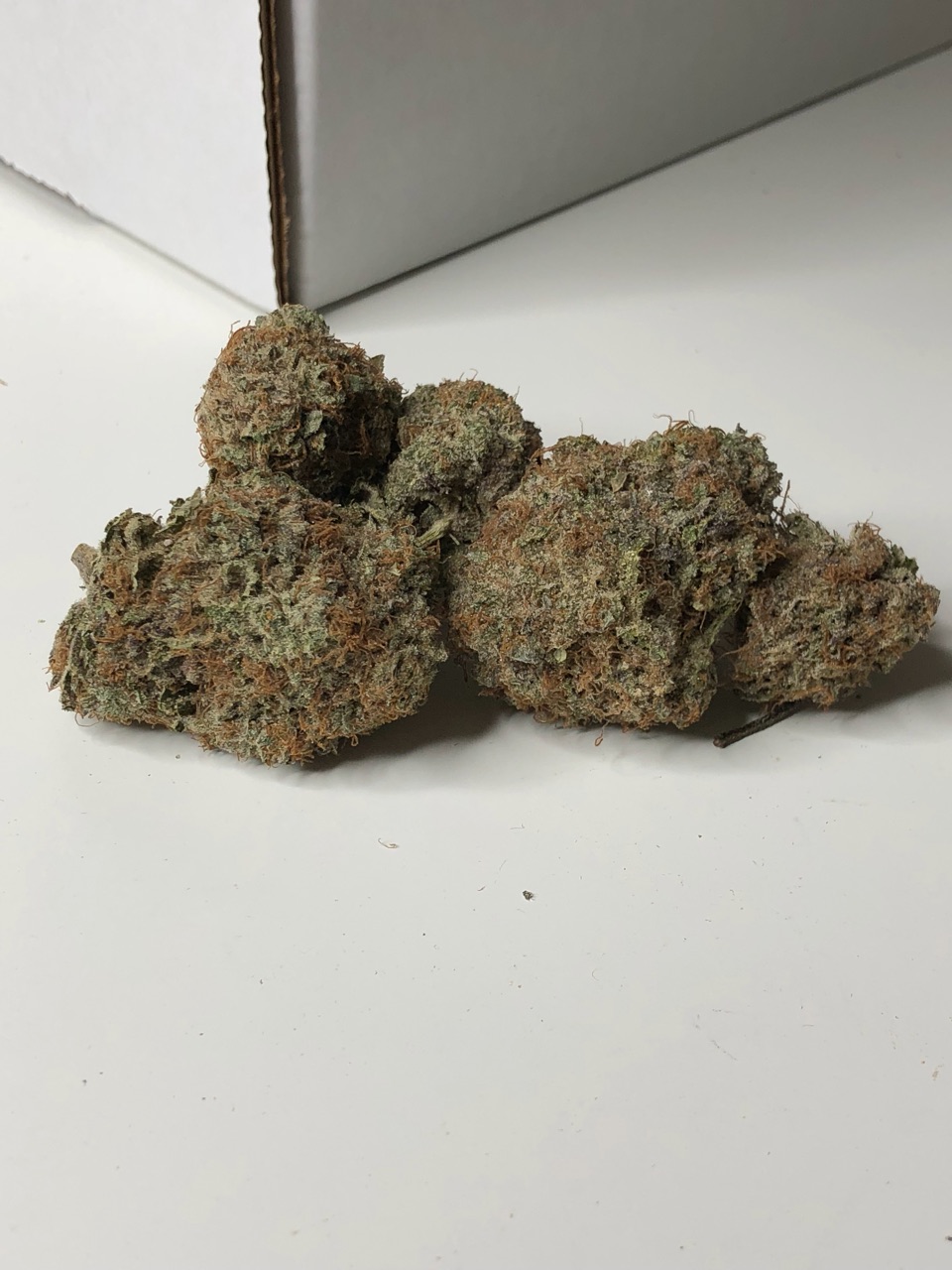 Godsgreencrack.jpg
