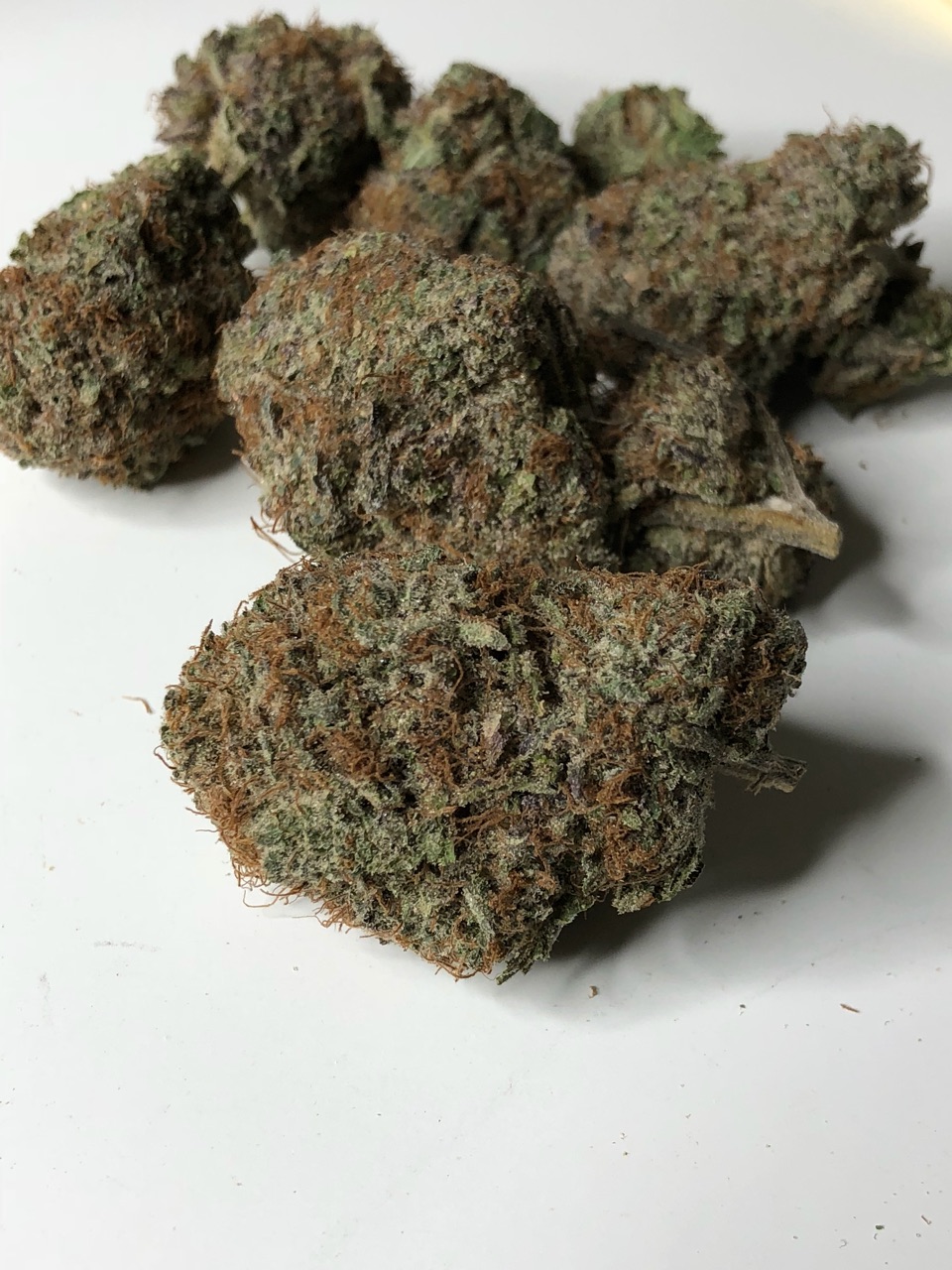 brucebanner.jpg