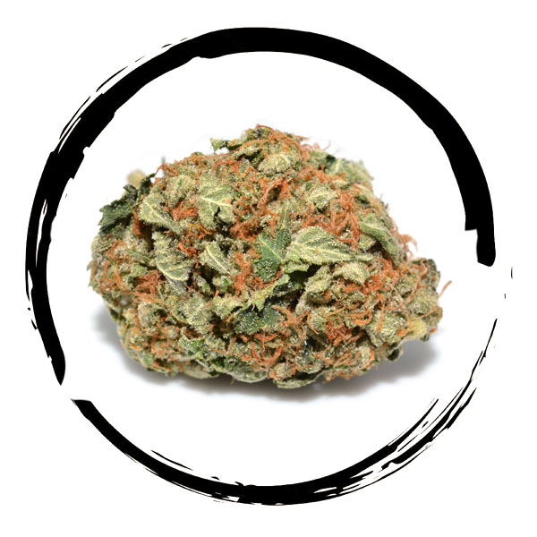 Jedi-Kush-600x600.jpg