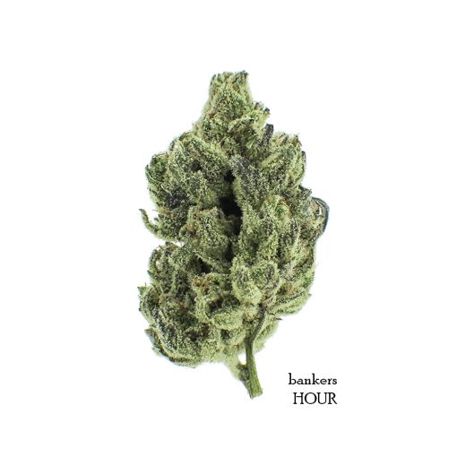 Buy-Weed-Online-Bankers-Hour-Marijuana-Strain-510x510.jpg