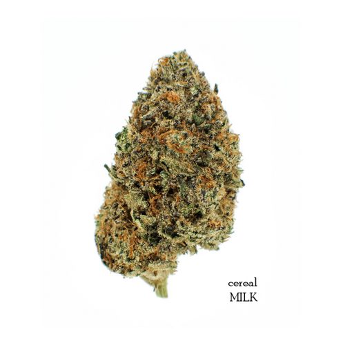 Buy-Weed-Online-Cereal-Milk-Balanced-Hybrid-Cannabis-Flower-510x510.jpg