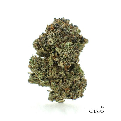 Buy-Weed-Online-El-Chapo-Indica-Dominant-Hybrid-Marijuana-Flower-510x510.jpg