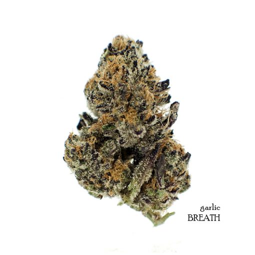 Buy-Weed-Online-Garlic-Breath-Indica-Dominant-hybrid-Marijuana-Flower-510x510.jpg