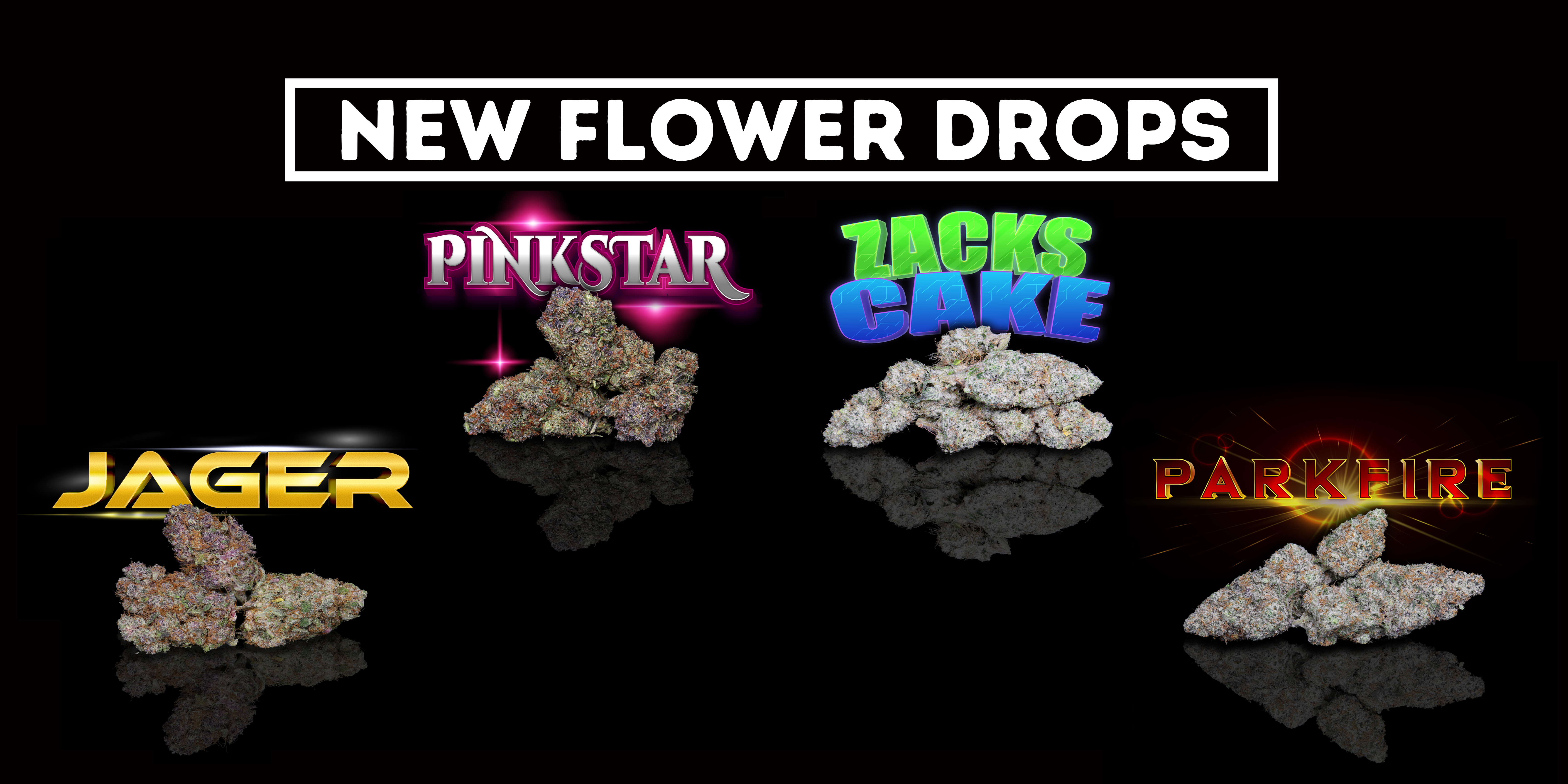 February Drop.png