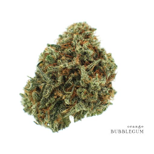 Buy-Bulk-Cannabis-Online-Orange-Bubblegum-Cannabis-Strain-510x510.jpg