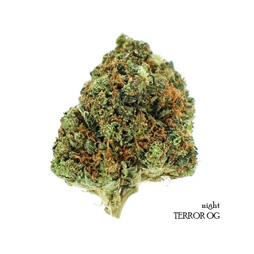 Buy-Weed-Online-Night-Terror-OG-Indica-Dominant-Dispensary-Canada-510x510.jpg