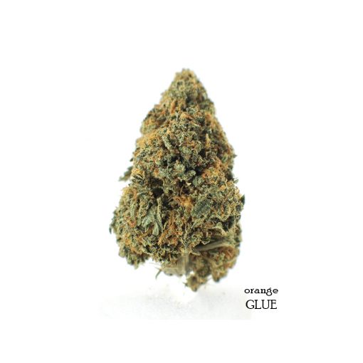 Buy-Weed-Online-Orange-Glue-Hybrid-weed-Flower-Canada-510x510.jpg