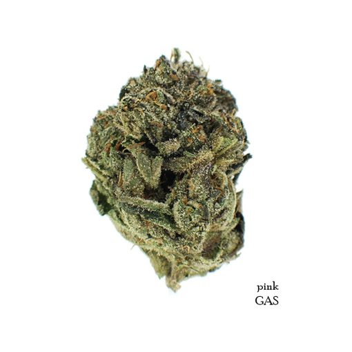 Buy-Weed-Online-Pink-Gas-Indica-Dominant-hybrid-Cannabis-Flower-Strain-510x510.jpg