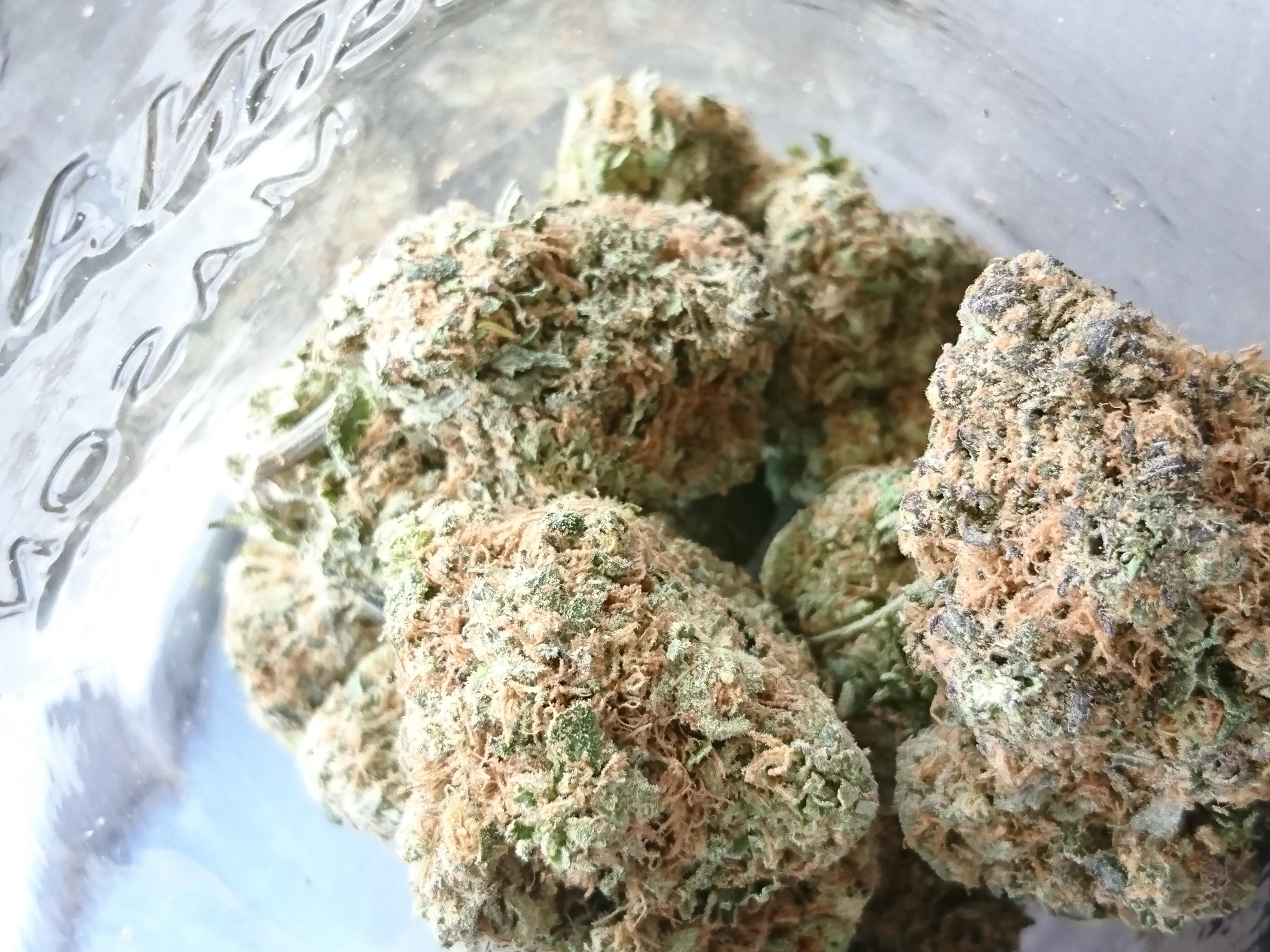 Bruce Banner