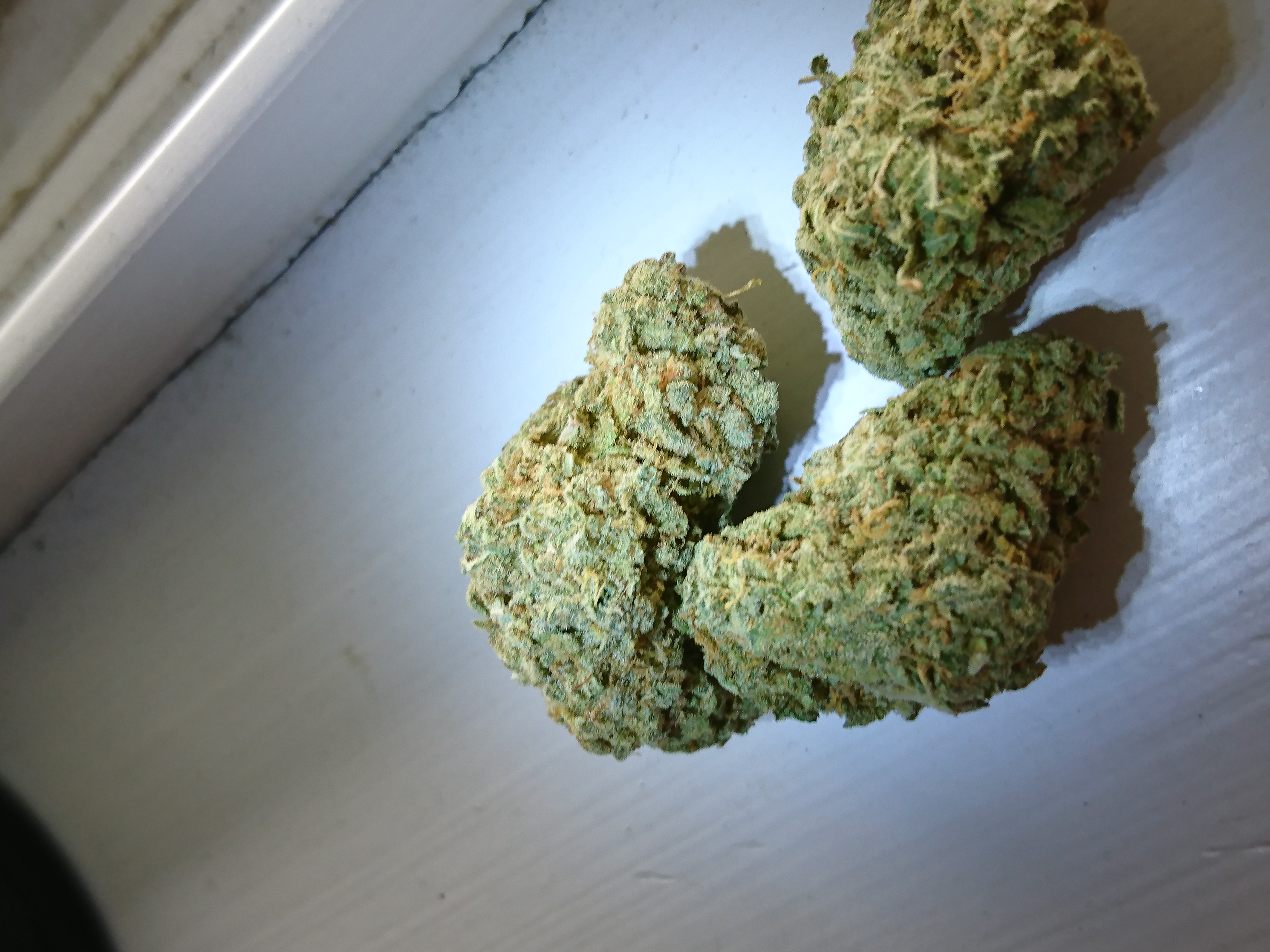 Blue Dream