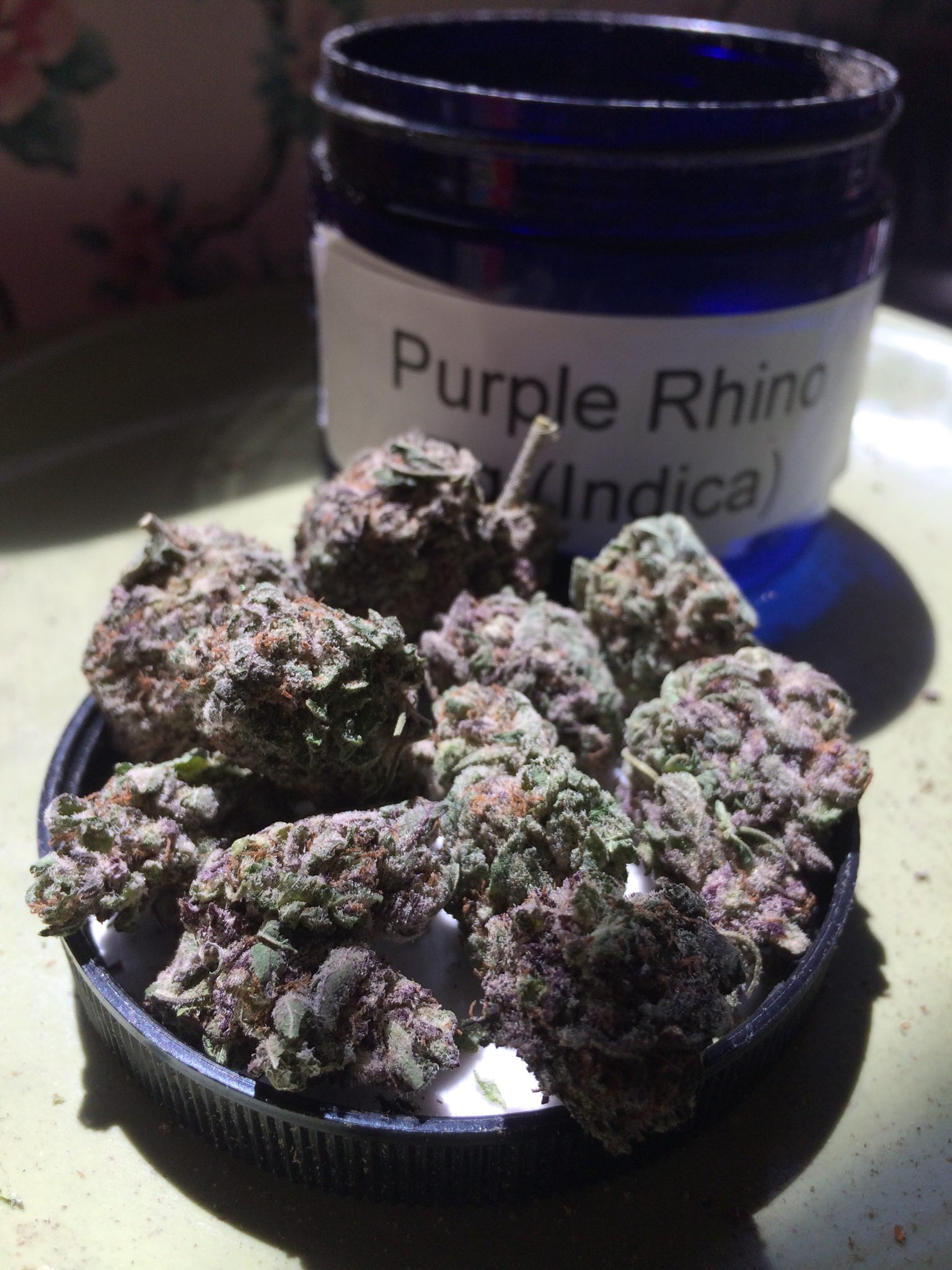 WS Purple Rhino May.jpg