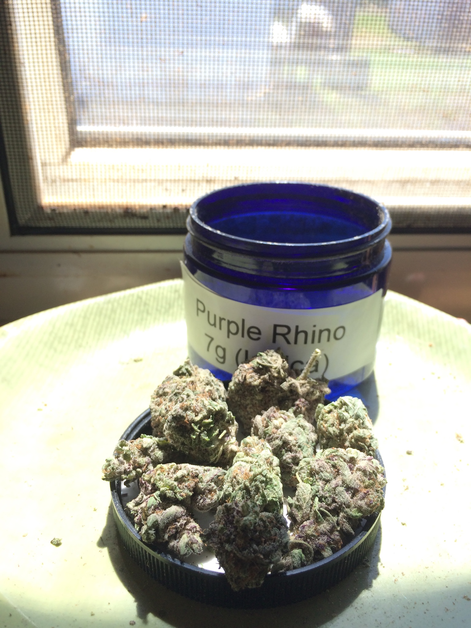 WS Purple Rhino2 Better light May.jpg