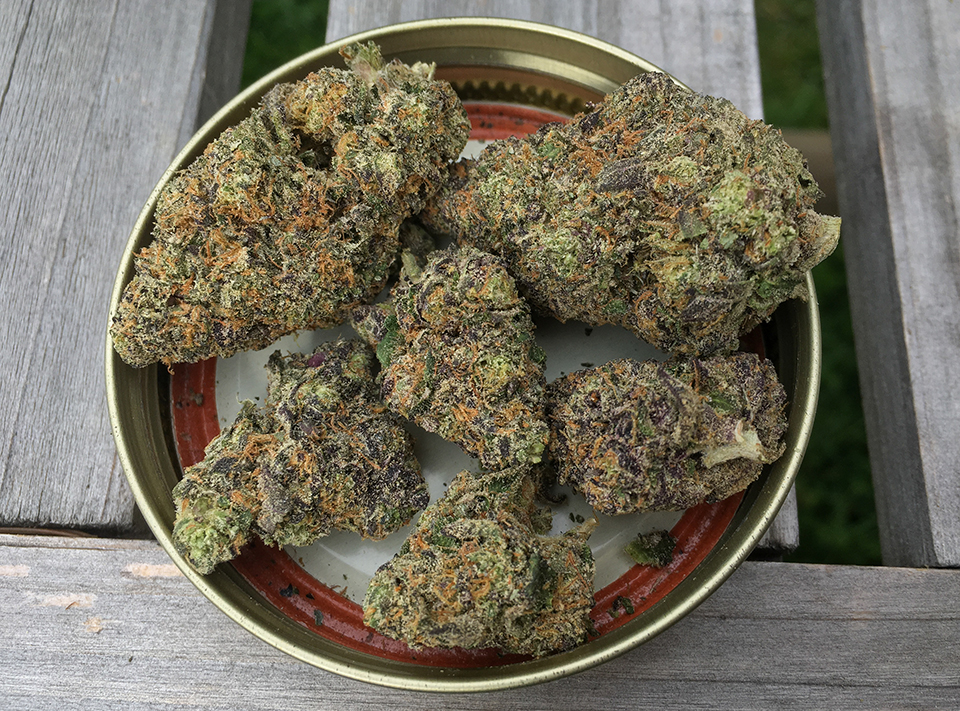Gelato Cake 1