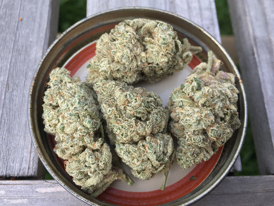 Khalifa Mints 1