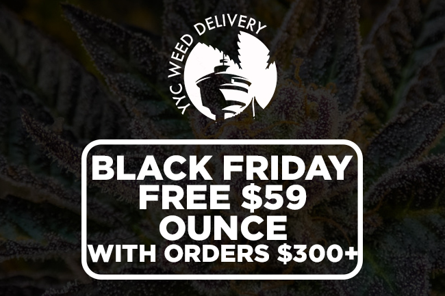 YYC-BLACK-FRIDAY-DEALS.jpg