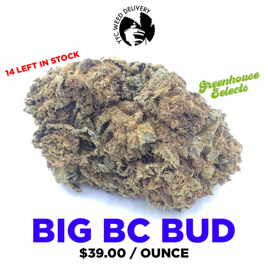 YYC-GREENHOUSE-BIG-BC-BUD.jpg