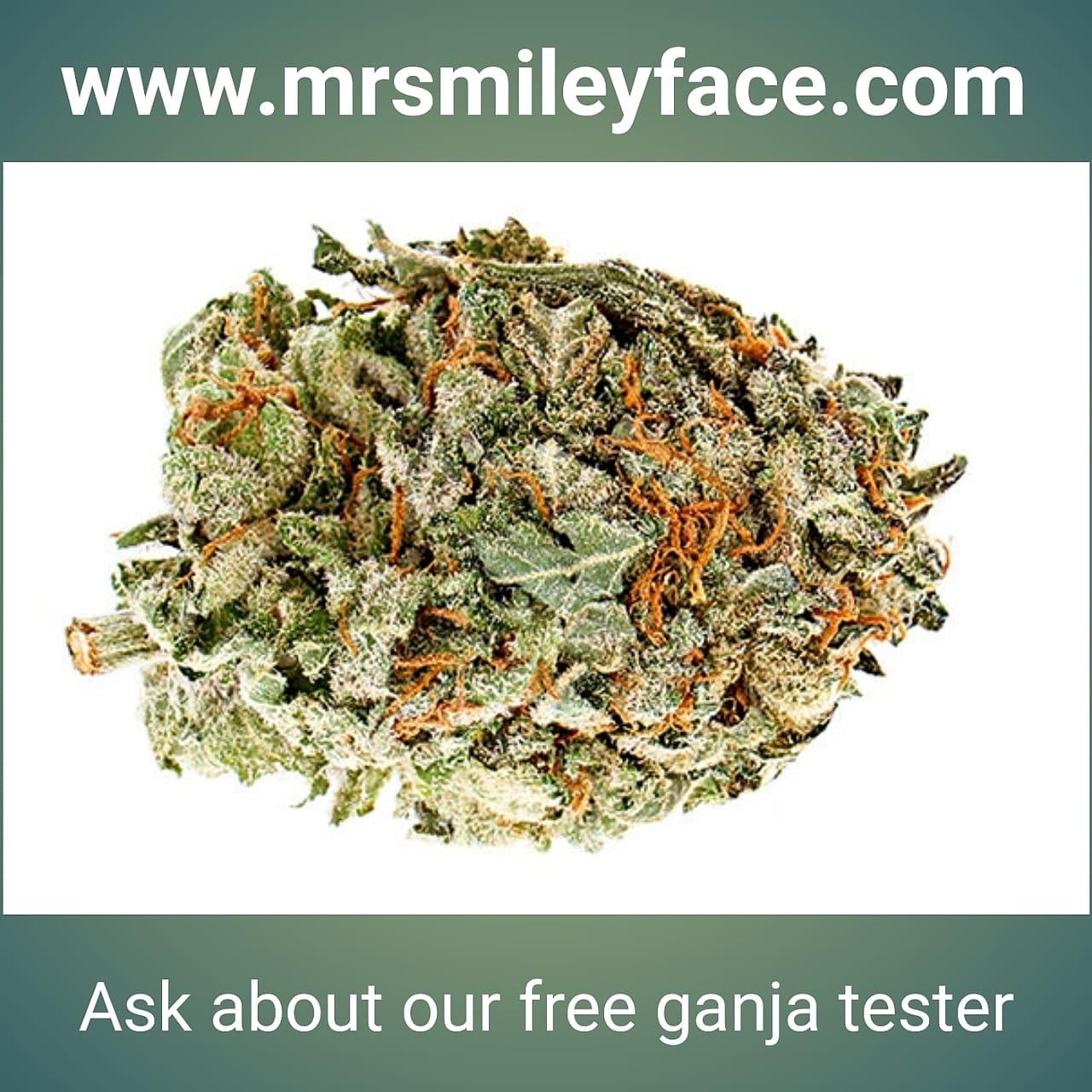 Free sample tester.jpeg