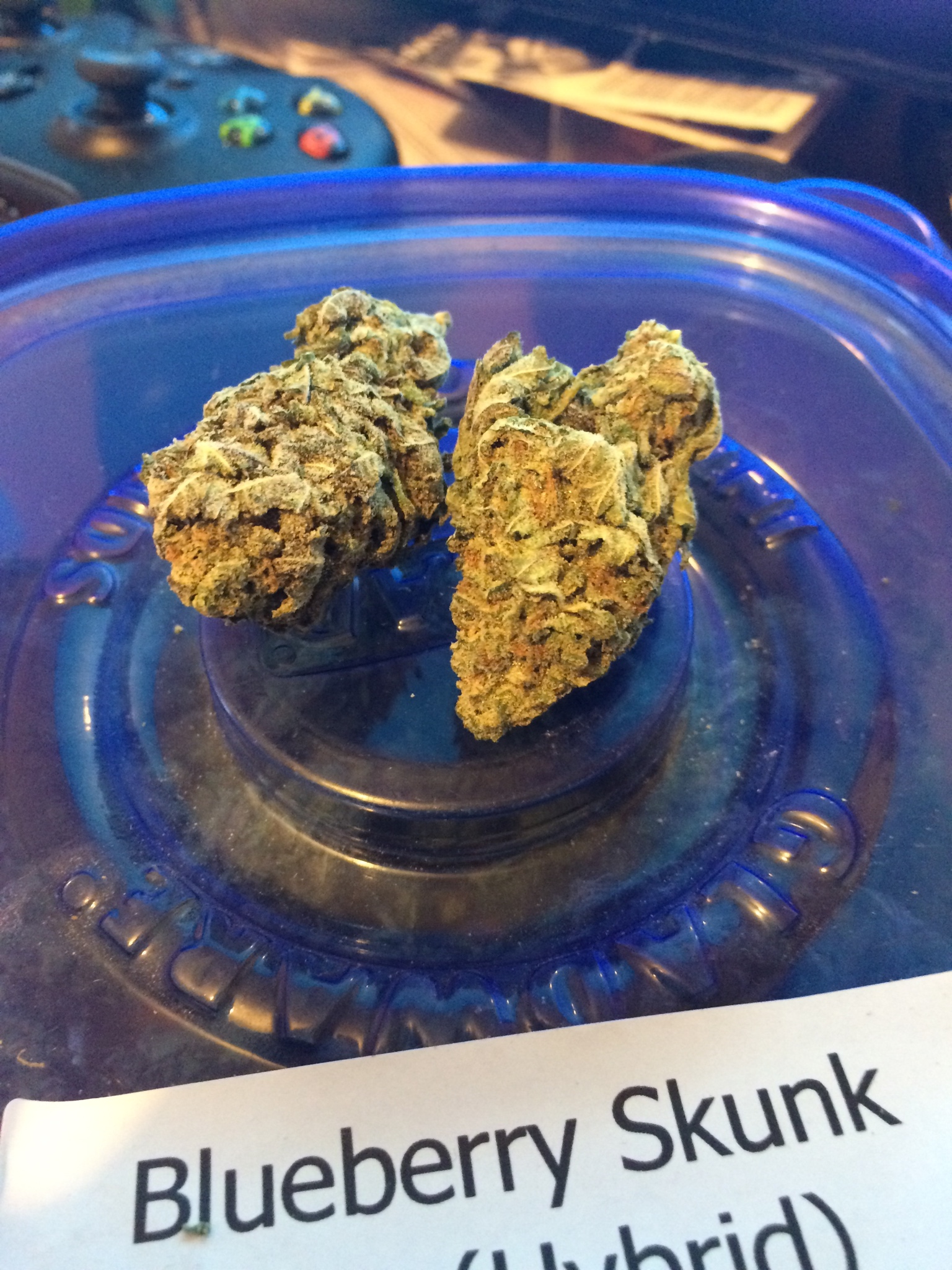 Weedsmart Blueberry skunk Mid may order!.jpg