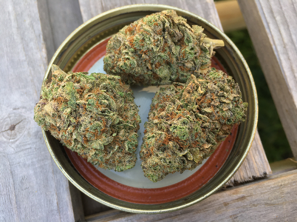 Mazar Kush 1