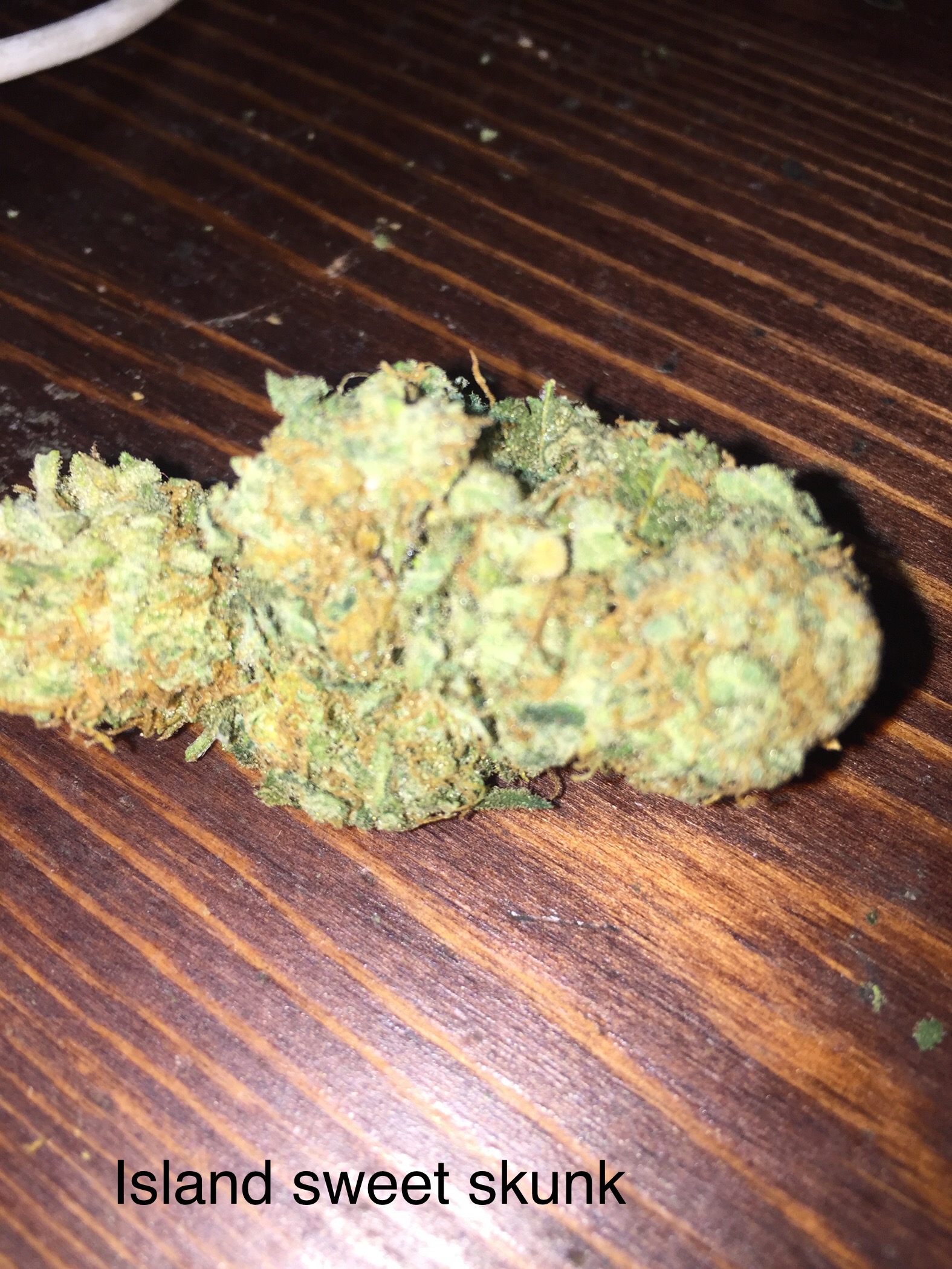 Island Sweet Skunk.JPG