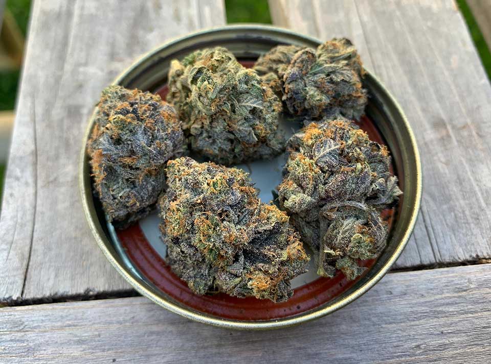 Pink Kush 1