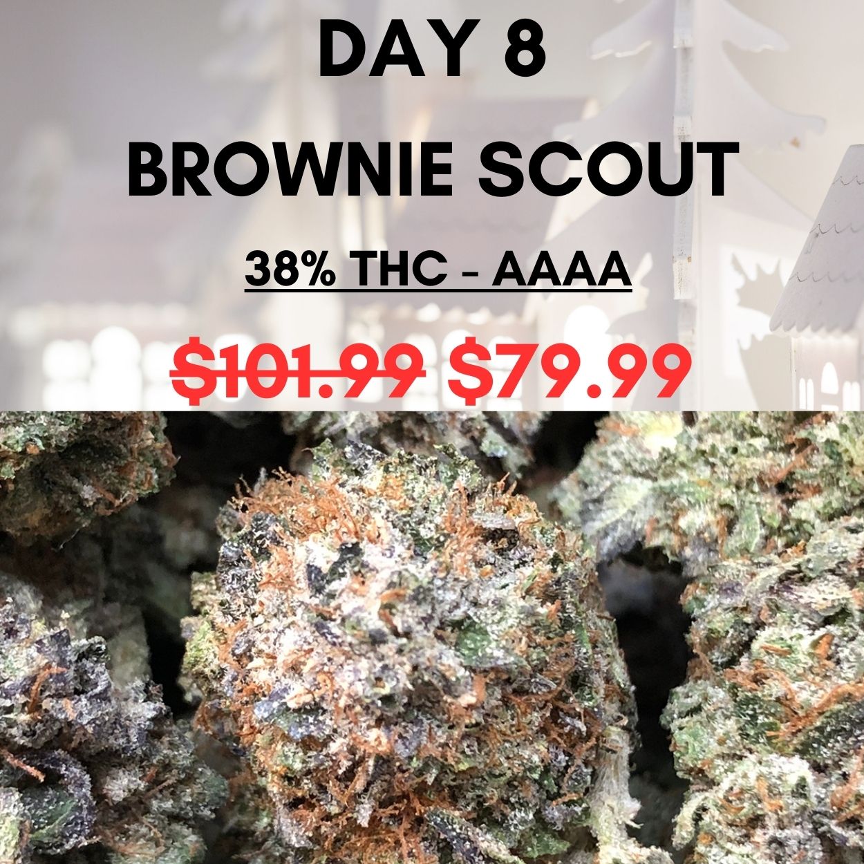 FREEBIE DAY! PURPLE MAC 10 3.5g on all orders Valid until Dec. (6).jpg