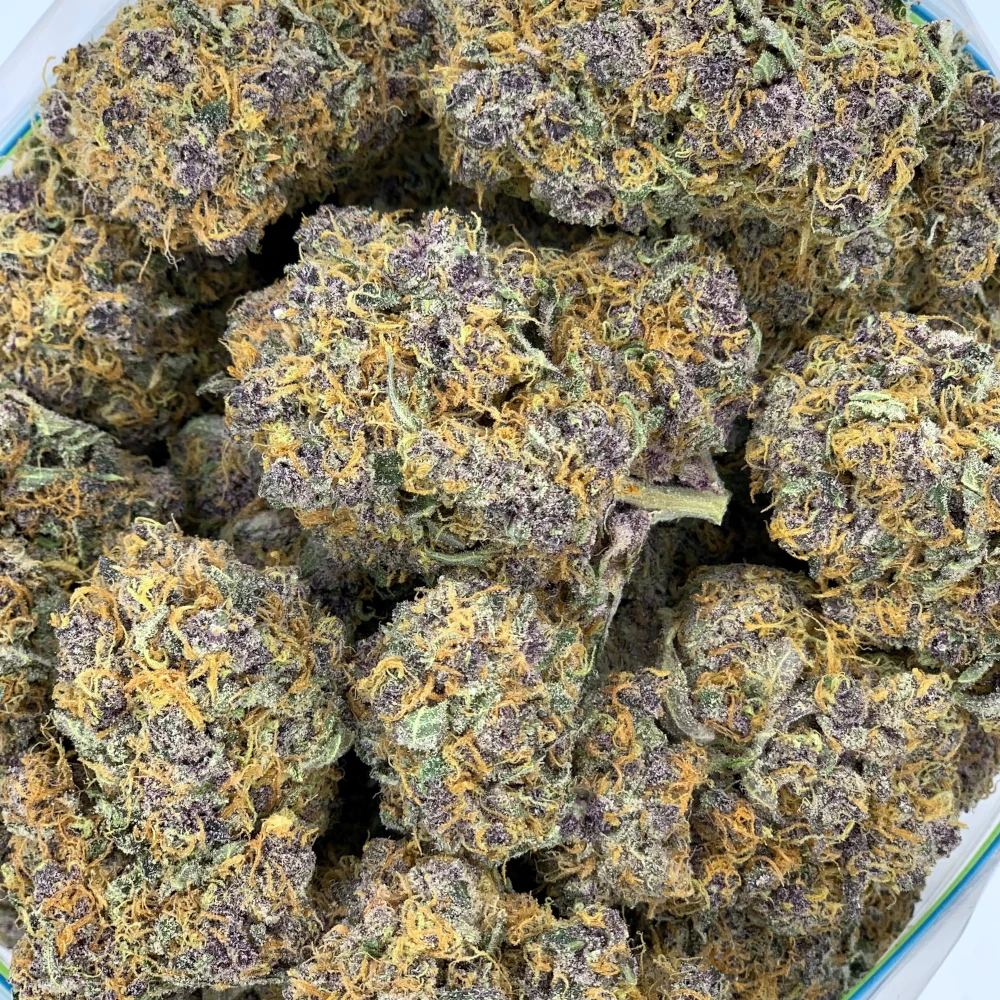 Wooly Mammoth by Growers Choice Bulk.png