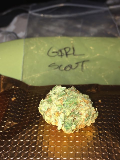 GSC