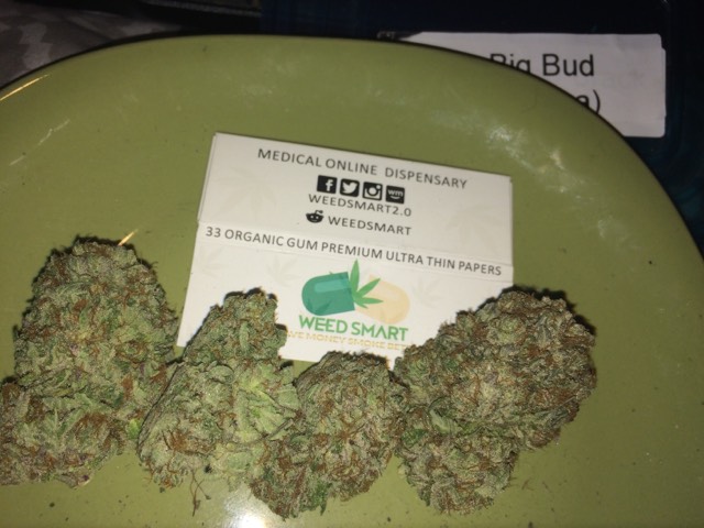 BcBig Bud feb 1st 2018