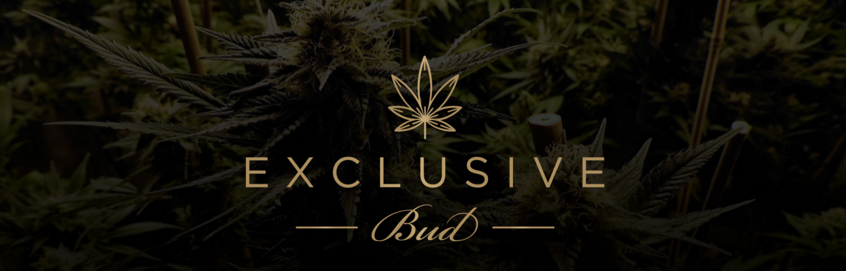 leaderboard logo.png