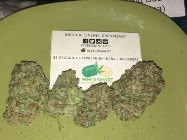 BigBud2