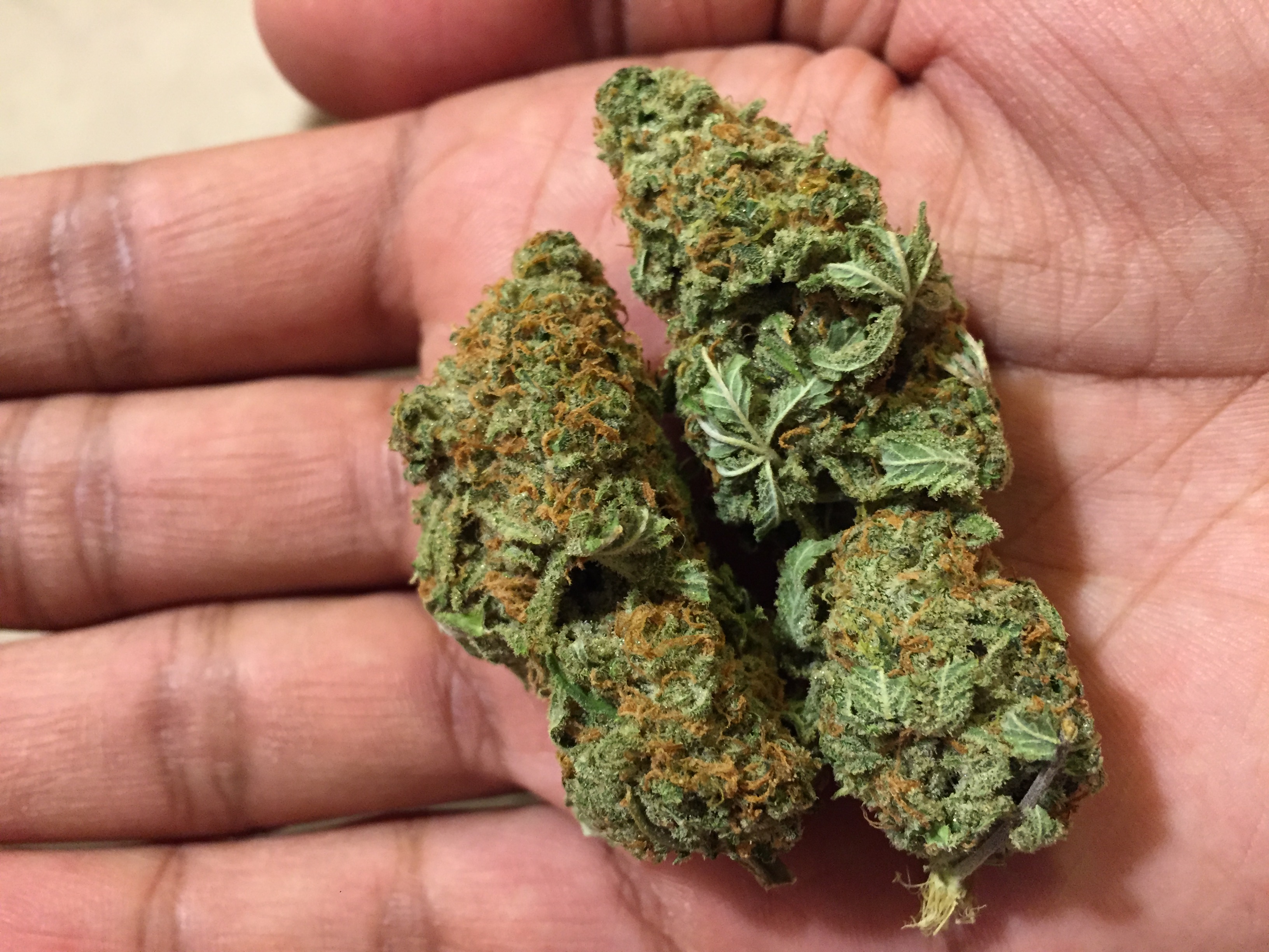 Girl Scout Cookies