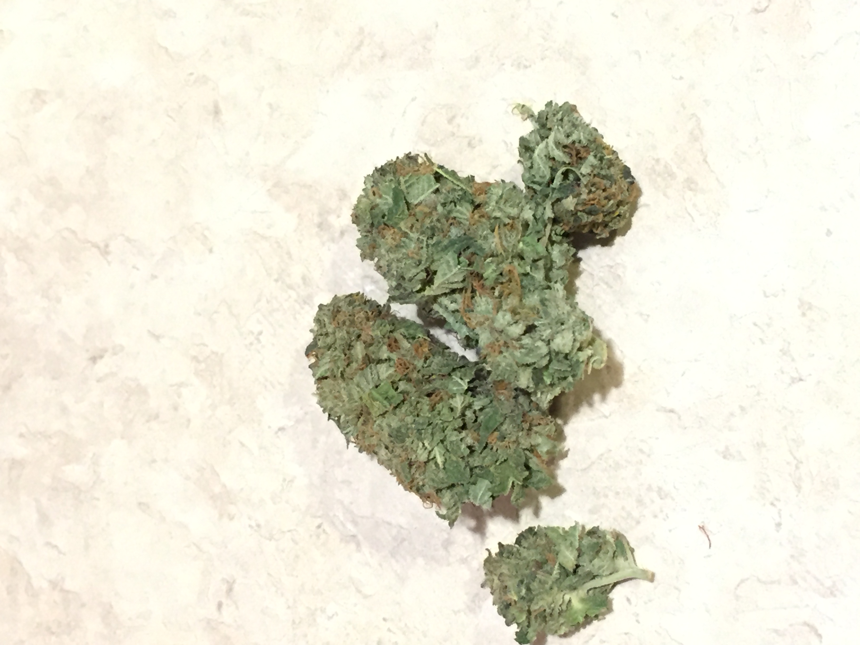 Green crack.JPG