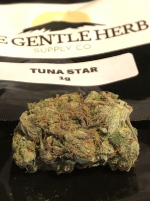 The Gentle Herb Tuna Star.jpg