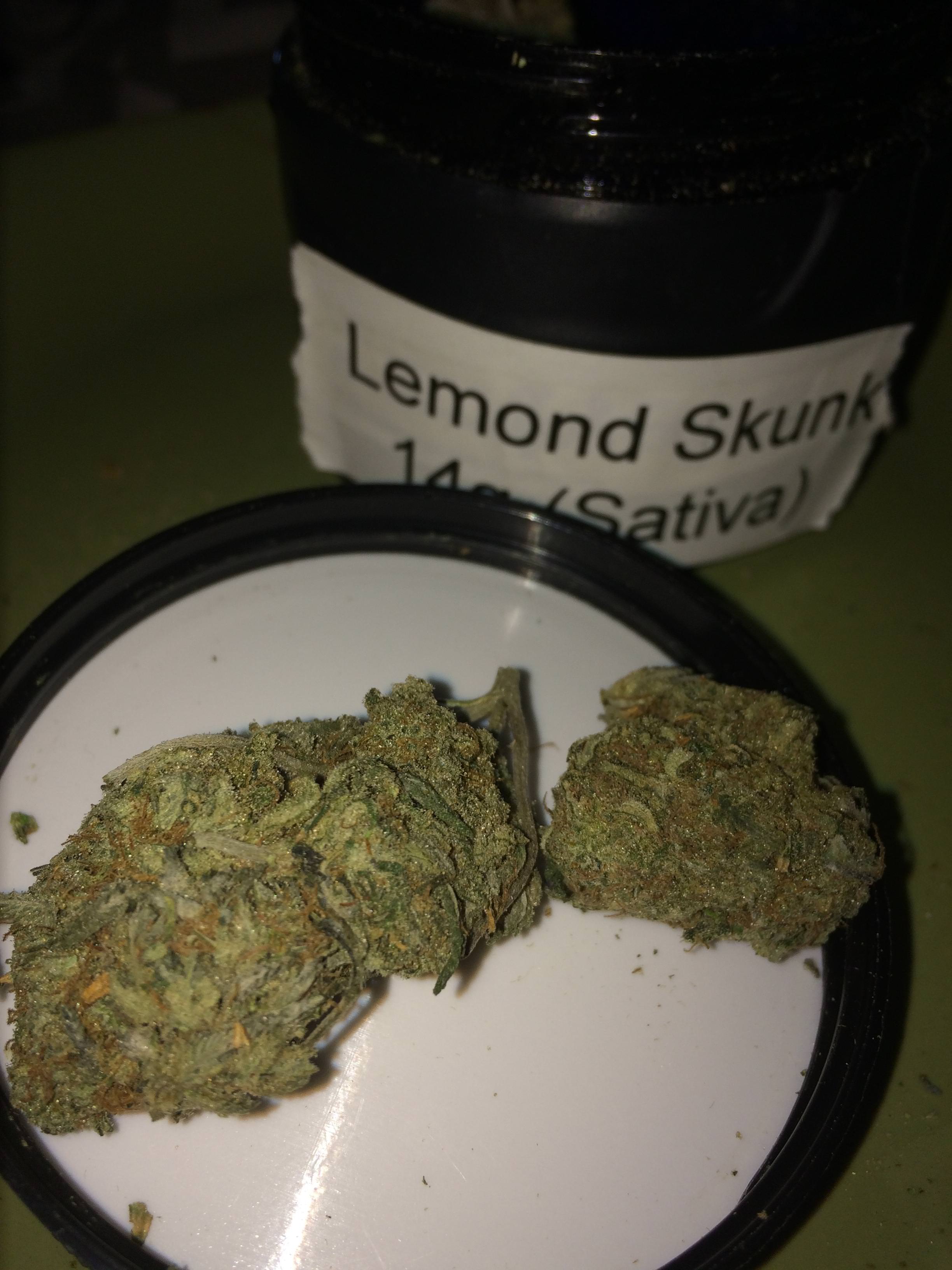 ws lemon sk 1 mar 22.jpg