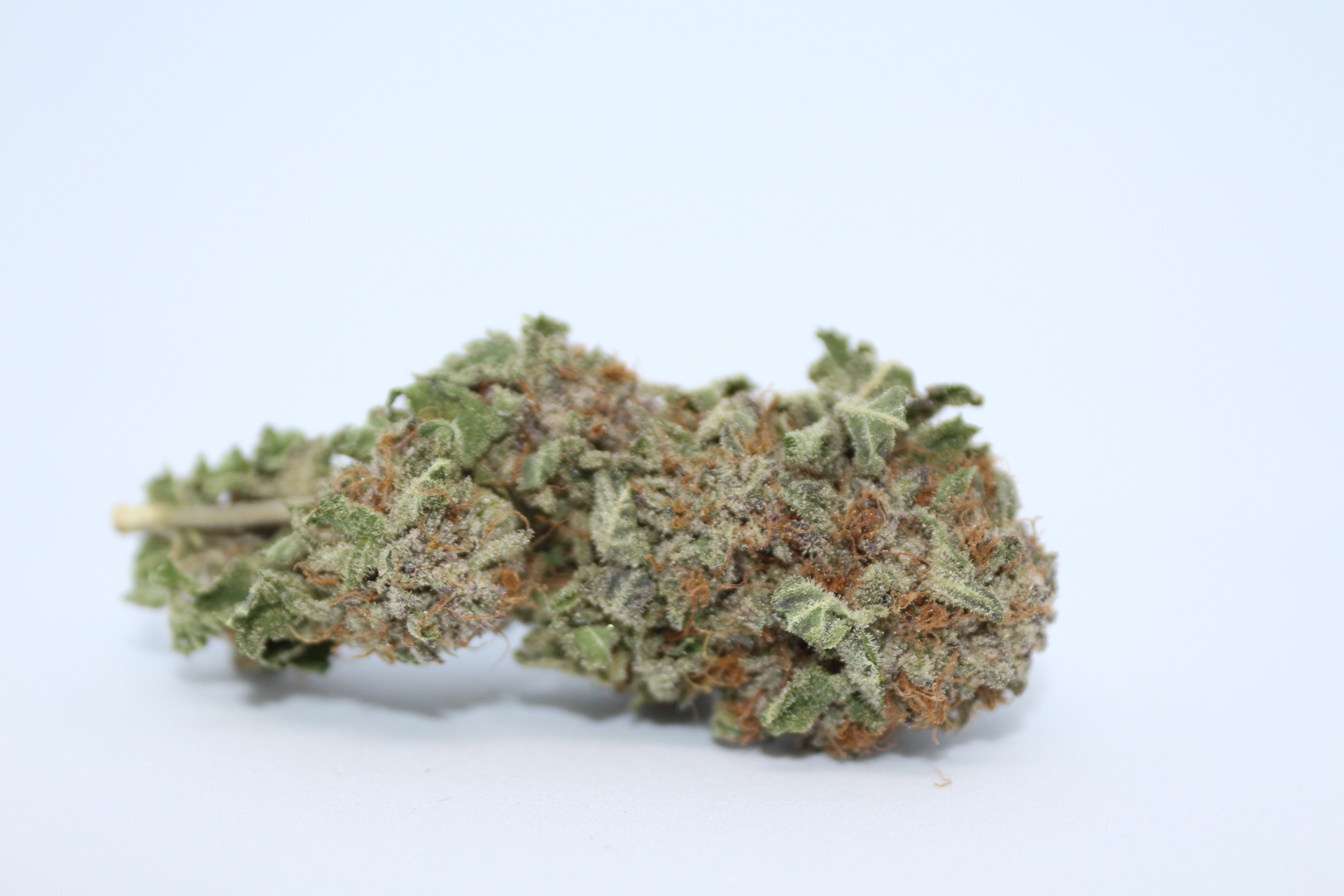Gods Green Crack (2).JPG