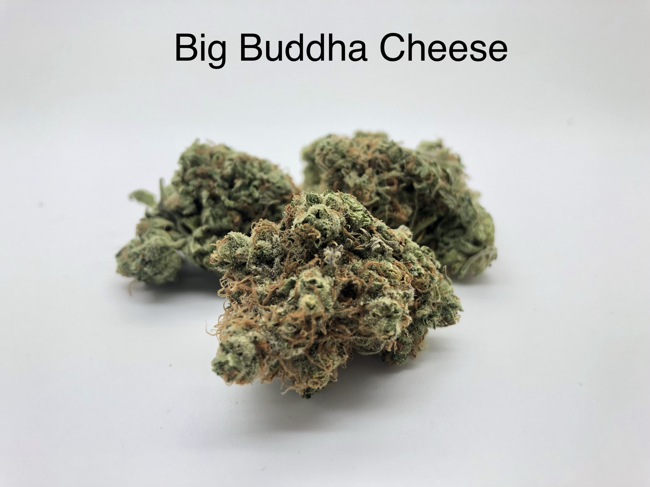 Big Buddha Cheese