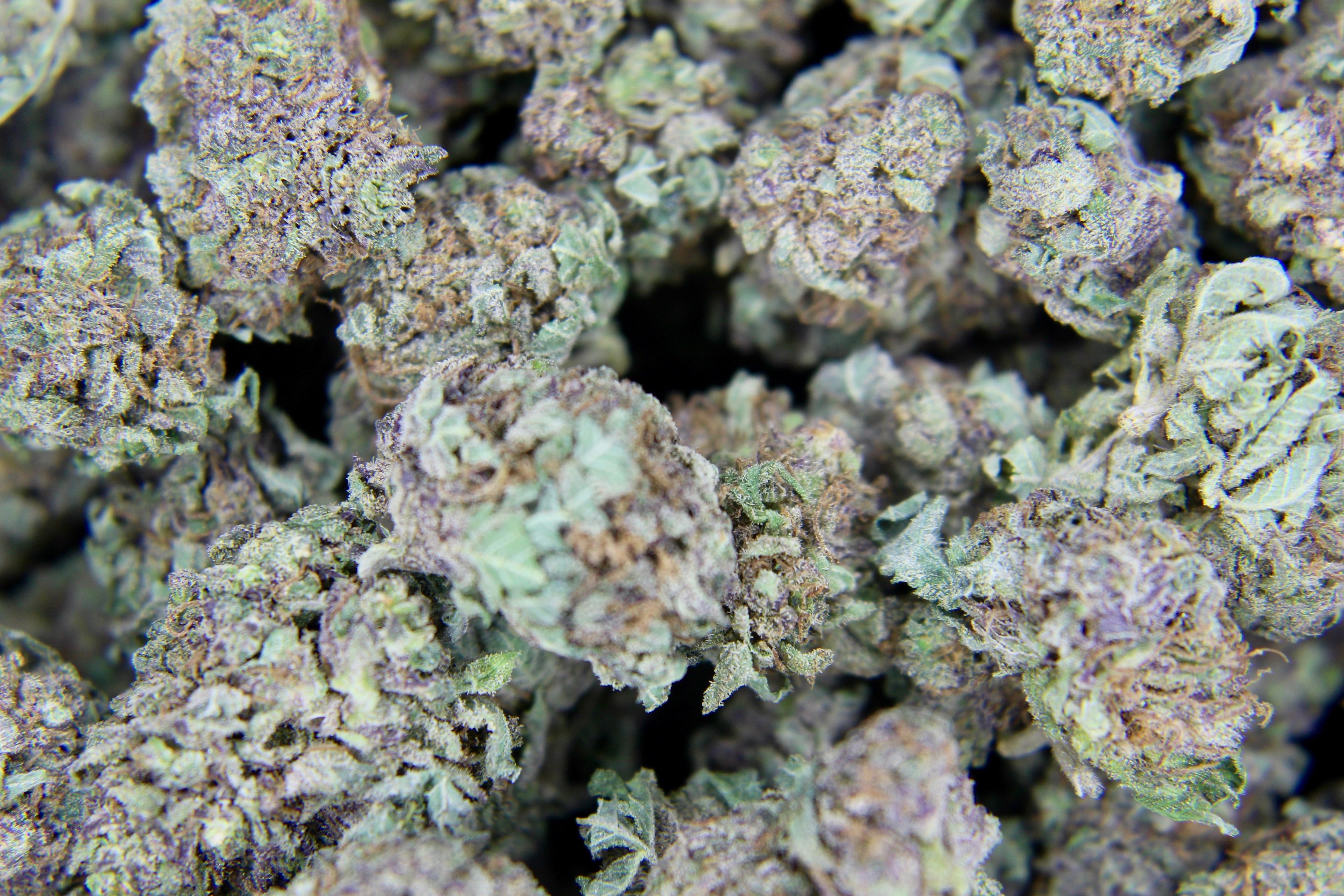 Purple Space Cookies