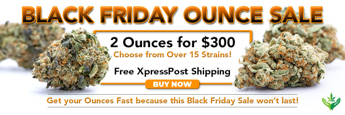 black_friday_2for3-banner (1).jpg