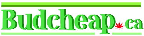 BudCheap Logo.png