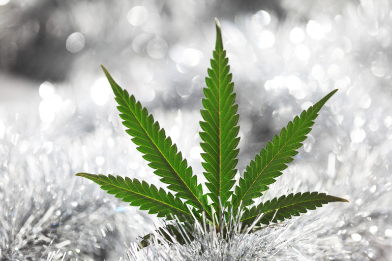 Christmas-Weed-771x514.jpg