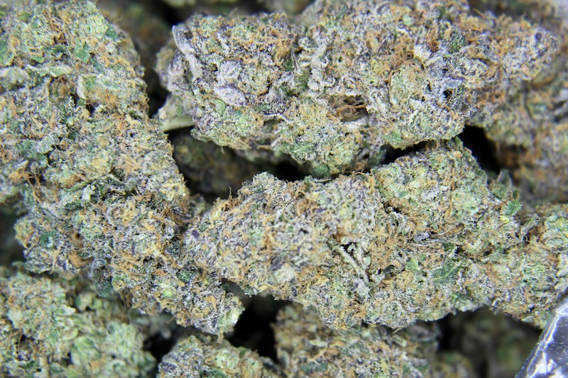 Mendo Breath