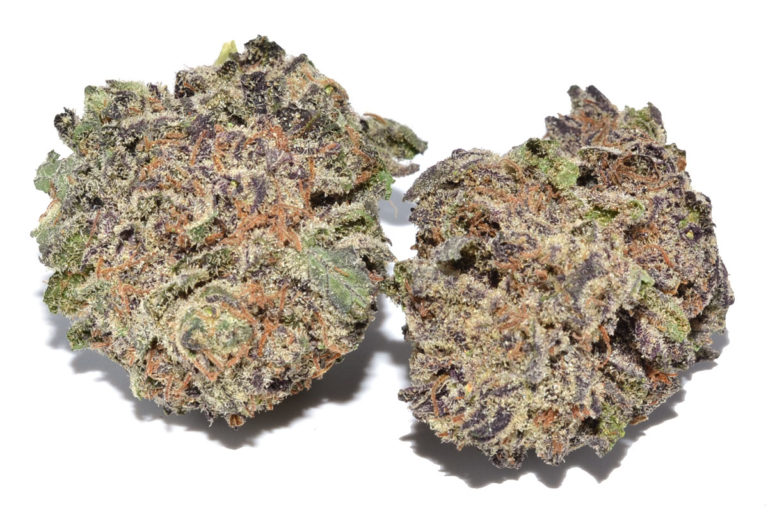 Mendocino-Purps-2-1200x800-768x512.jpg