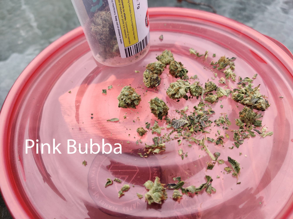 Pink Bubba 1.jpg