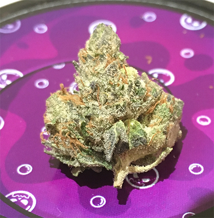 Death Bubba